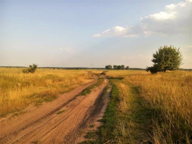 Ukraine Diebsbanden plündern landwirtschaftliche Flächen kurz vor der